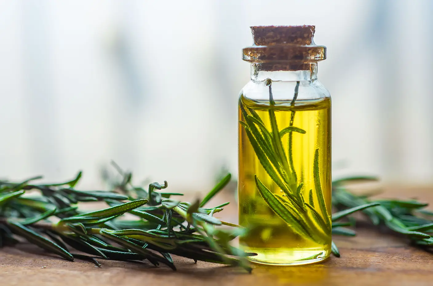 Huile d'olive plancha